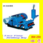 China Hot Powerful Cheapest BW-250 Mud Pump