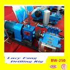 China Hot Powerful Cheapest BW-250 Mud Pump